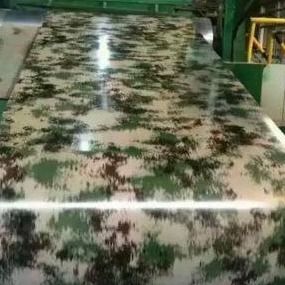 Украшение CGCH печатая цвет PPGI покрыло листы 800mm