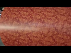 Цвет RAL prepainted гальванизированный стальной цвет ppgi катушки покрыл гальванизированные стальные катушки